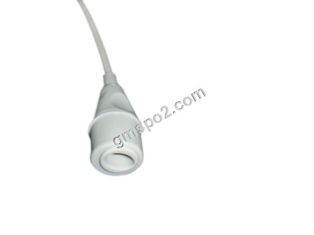 edward IBP adaptè-.jpg