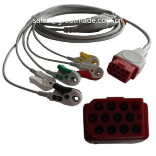 Konpatib Bionet BM3 BM5 yon sèl pyès ECG kab ak Leadwires, AHA, 5-plon, SNAP, 12pin wouj