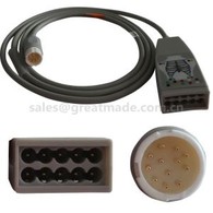 Konpatib M1663A HP 10-plon Cable Trunk, HP 12PIN .2M